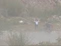 Somos albojenses ha montado 36 videos del raly baja almanzora con la participacion de Marc Coma e Isidre Esteve