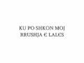 Shkelzen Jetishi - ..