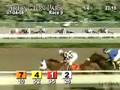ARLINGTON PARK, 2008-07-04, Race 9