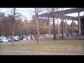 videos de andrew greenberg goes down