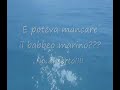 Improvvisata gara di tuffi
