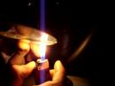 cartoons cd burning