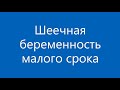 Нажмите для просмотра : Шеечная беременность матки