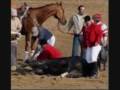 Horse Cruelty prt 2 0001