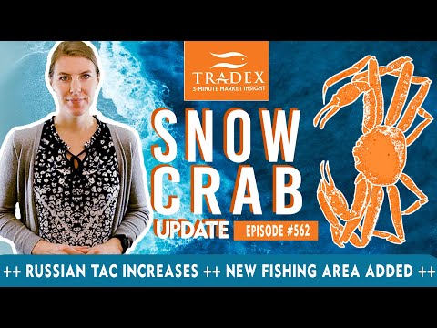 3MMI - Global Snow Crab Update: Alaska, Canada, Norway, Russia