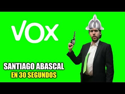 Las propuestas de VOX en 30 segundos