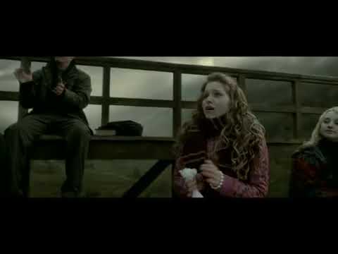 Harry Potter 6  The Pitfalls of Teenage Love