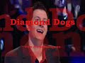 diamond dogs - tv4 talang 2007