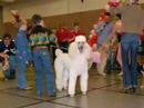 Annual Furr Ball 2008