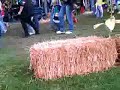 Perrysburg Pow Wow Part 1