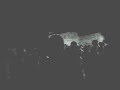 ParkinGson, Ramirez - Vamos Nena Baila Ska
