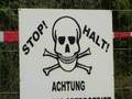 Dschungelbuch stirbt