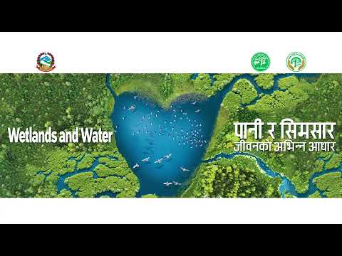 International Wetland Day 2021