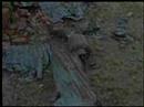 FARC Criminales