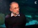 C'est pas sorcier - Les requins