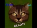 Tigerstar - Bone Shatter