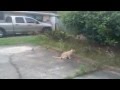 ���� ��� �� ����� ������� ����� ���� ����� ����� ���� �� ������