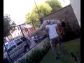 la camaleonina