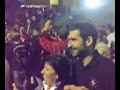 I celerini sulla ragnatela I celerini sulla ragnatela