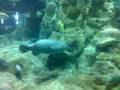 videos de Video-0015.mp4