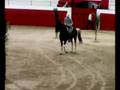 borja y su caballo en vª de alcantara