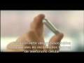 videos de Roberts Toot-tone