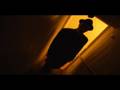 videos de RFA sample