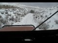 scout in snow.wmv