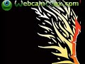 how to delete cookies & cache on xp