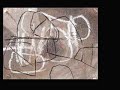 M.P. Landis & Triptych Myth