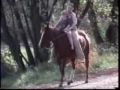 SOLD! Cleo, quiet, well broke, easy going mare