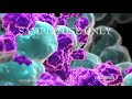 Breast Cancer Progression and Staging