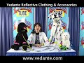 Vedante, Inc. Vedante, Inc.