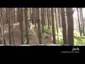 mtb kapiti / otihanga  new zealand