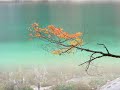 Yanni - First Touch - Moment To Relax