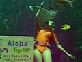Pacific Beach Hotel Oceanarium - Underwater Love Pacific Beach Hotel Oceanarium - Underwater Love