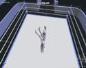 Endorphin E-xtreem Pro Wrestling EEPW