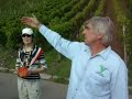 Wein Fest Schmalzried: Wanne, home of Muskat-Trollinger