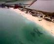 marea neagra de sus cu cessna 182