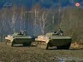 BMP