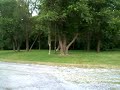 VX9700 test video