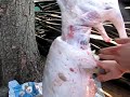 Разделка барана
