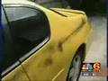 Vandalism in Wilton Manors, FL