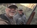 Wild Boar Hunting in California