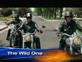 John Travolta Goes Hog Wild