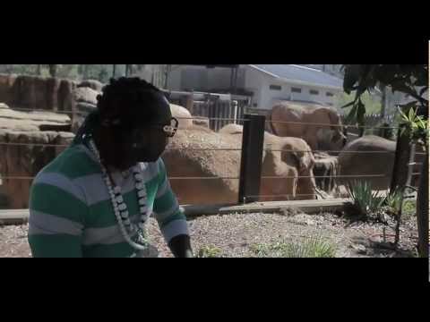 Elephant Man - Best Harlem Shake [Official Music Video]
