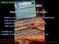 videos de digital studio -Studio Bojan Zekic