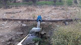 طله على عين الحمرا / قرية عكبره / قضاء صفد / شارع ٨٩ /