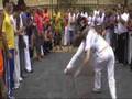 Ver Video