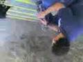 cancion Cebollera